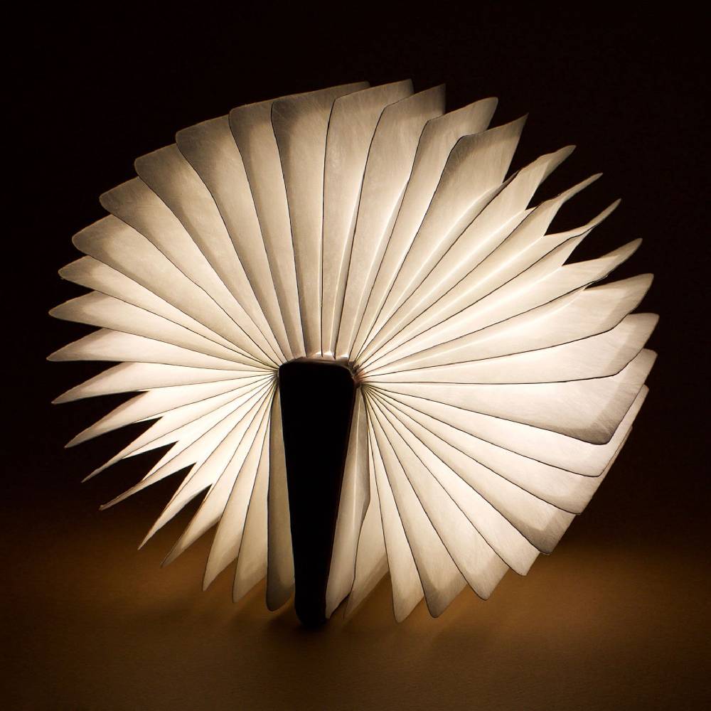 Legami Libro Luminoso - Light Book In Vendita