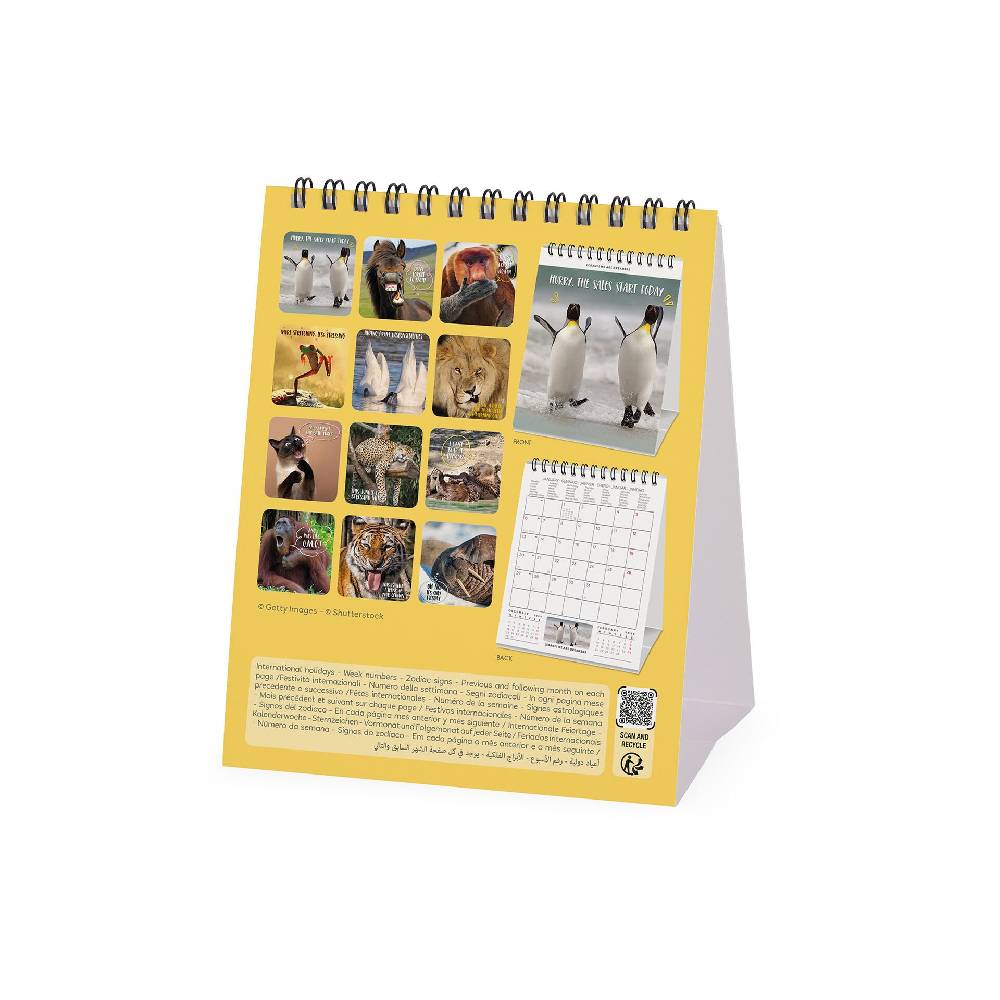 Legami Calendario da Tavolo 2025 - 12 x 14,5 cm Prezzo Ridotto