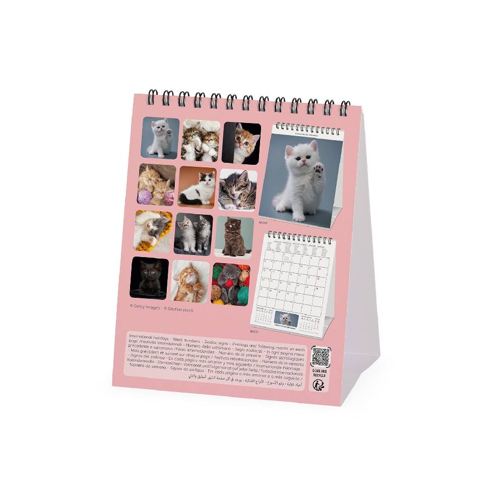 Legami Calendario da Tavolo 2025 - 12 x 14,5 cm Spedizione Gratuita