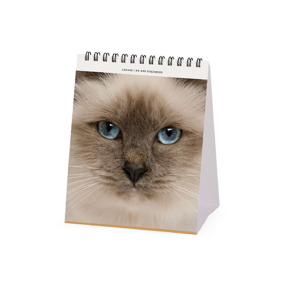 Legami Calendario da Tavolo 2025 - 12 x 14,5 cm Sconto