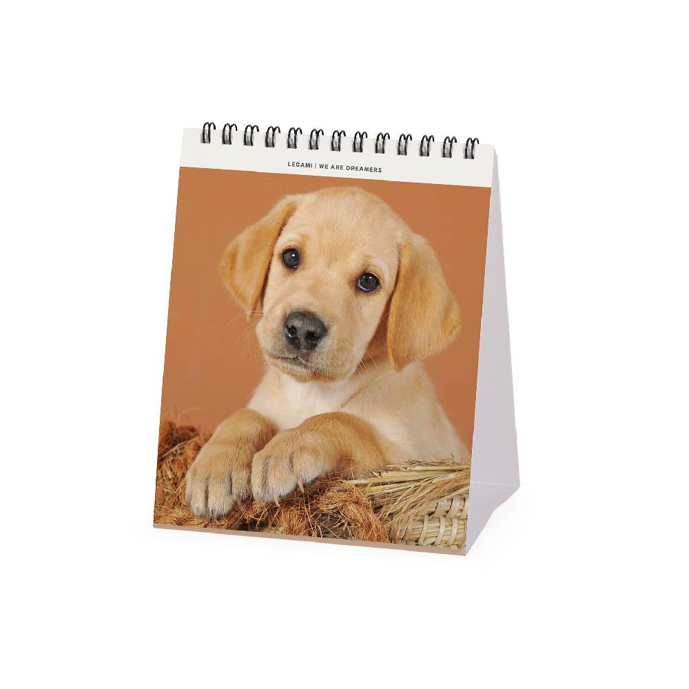 Legami Calendario da Tavolo 2025 - 12 x 14,5 cm Outlet