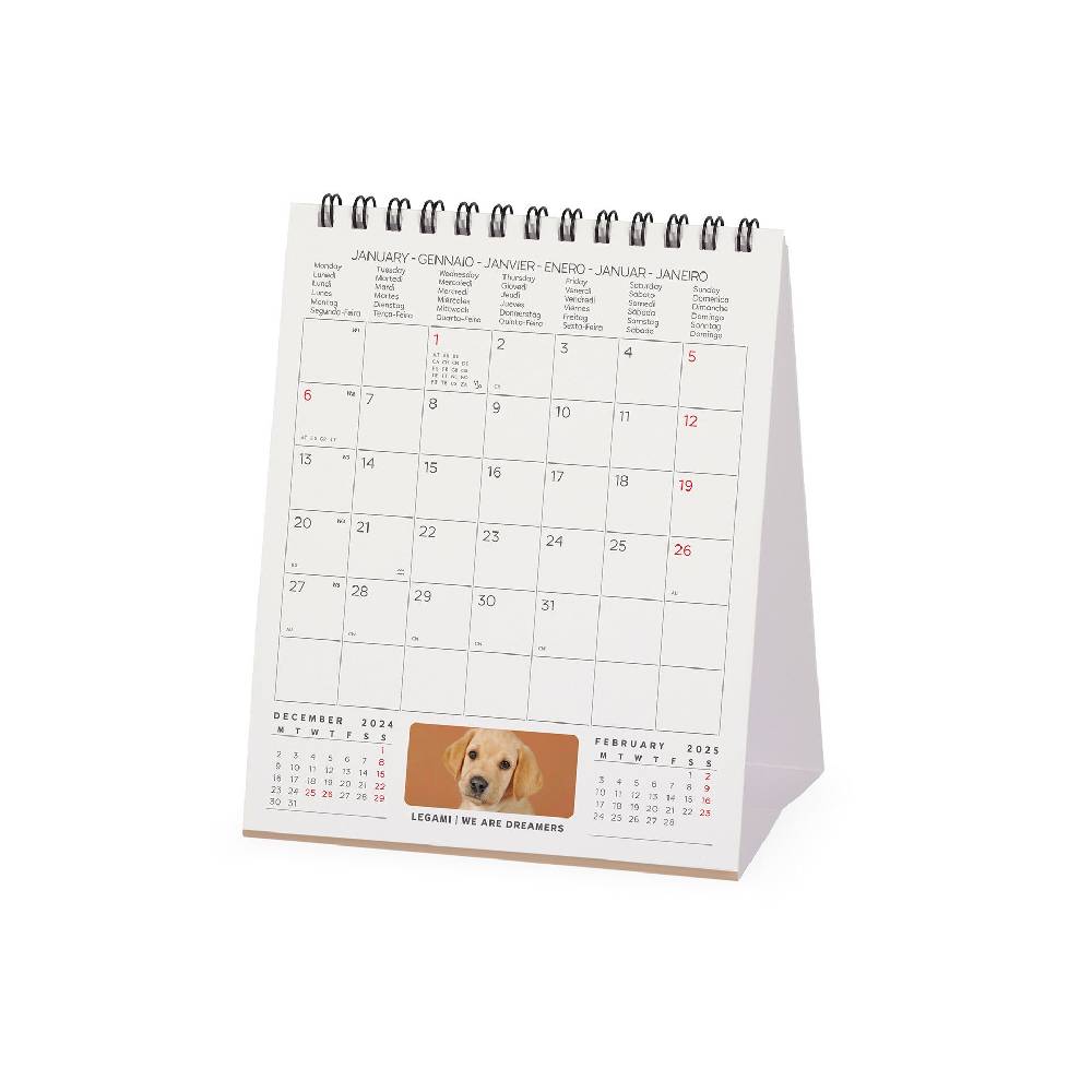Legami Calendario da Tavolo 2025 - 12 x 14,5 cm Outlet
