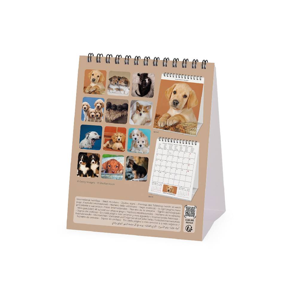 Legami Calendario da Tavolo 2025 - 12 x 14,5 cm Outlet