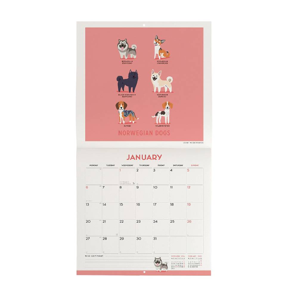 Legami Calendario da Parete 2025 - 30 x 29 cm Italia