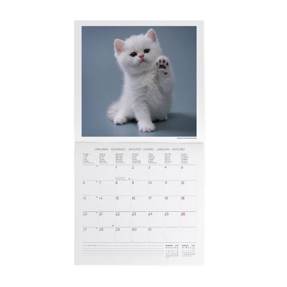 Legami Calendario da Parete 2025 - 30 x 29 cm Qualità
