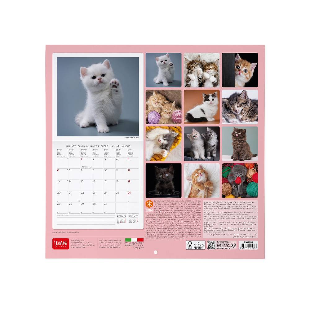 Legami Calendario da Parete 2025 - 30 x 29 cm Qualità