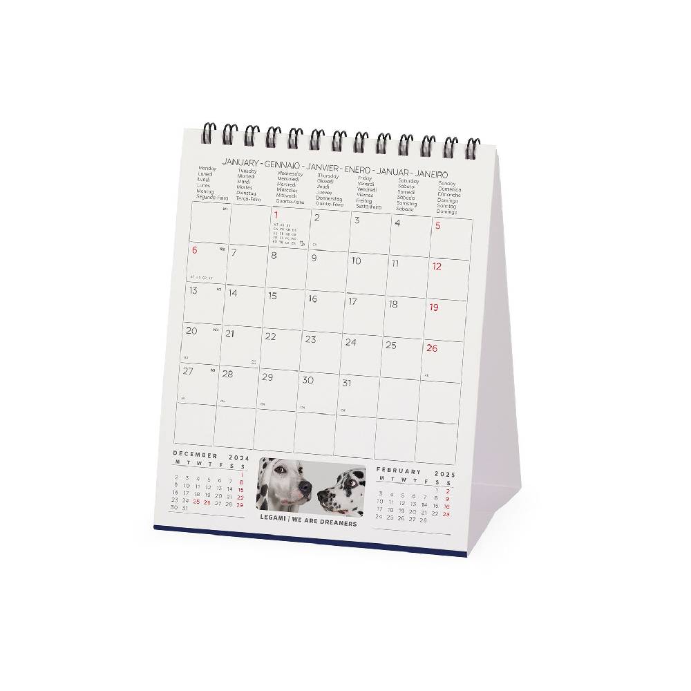 Legami Calendario da Tavolo 2025 - 12 x 14,5 cm Offerta speciale