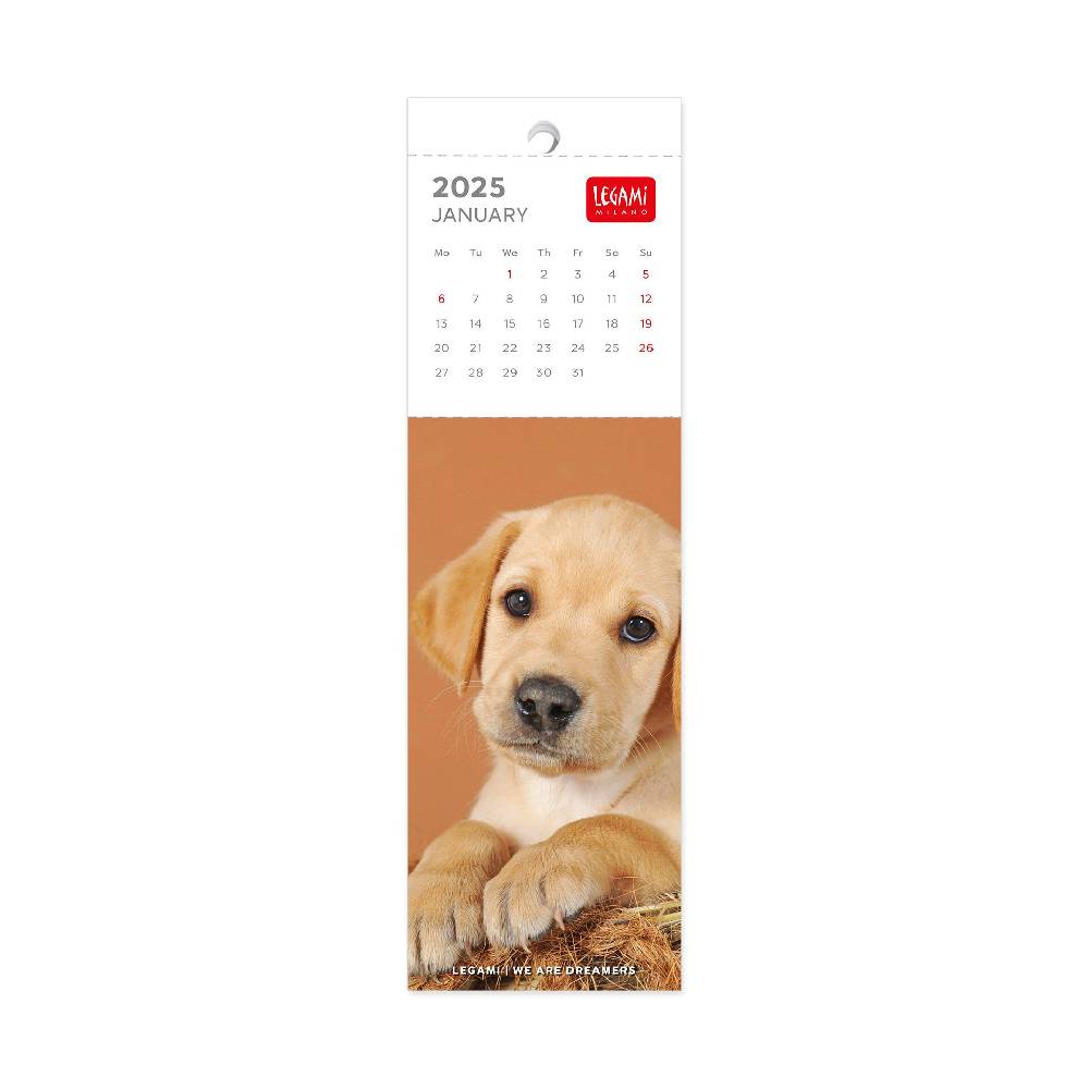 Legami Calendario Segnalibro 2025 - 5,5 x 18 cm Sconto