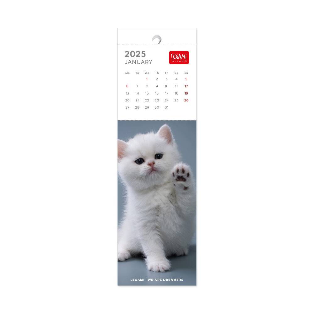 Legami Calendario Segnalibro 2025 - 5,5 x 18 cm Offerta