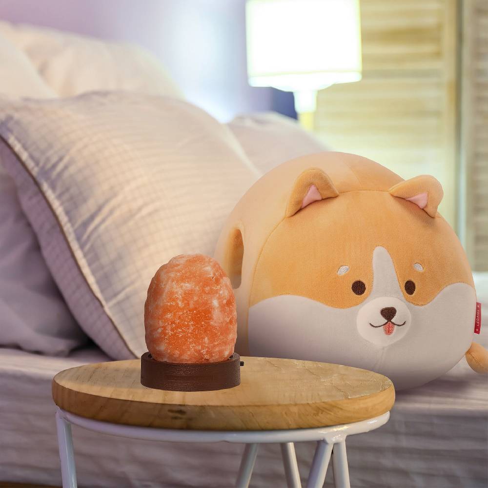 Legami Set Cuscino Corgi e Himalayan Salt Lamp Ultimi due giorni