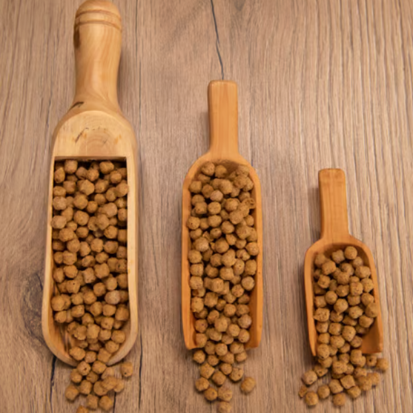 Bauzaar Psittacus Alimento Formula Mantenimento Mini Offerta temporanea