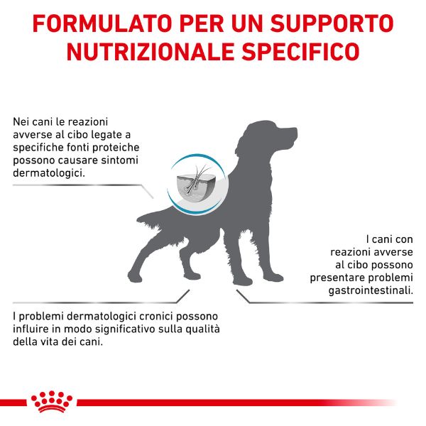 Bauzaar Royal Canin Hypoallergenic Cane Sconto