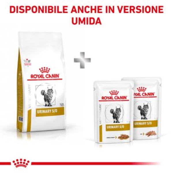 Bauzaar Royal Canin Urinary S/O Offerta esclusiva