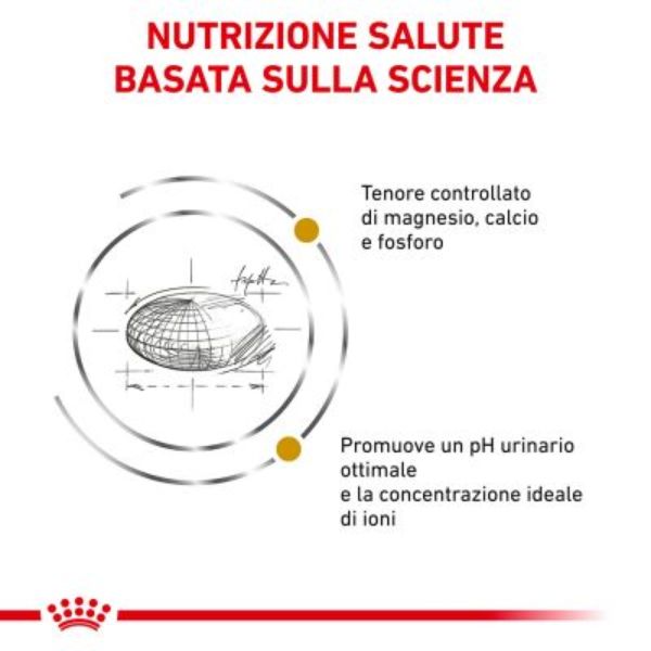Bauzaar Royal Canin Urinary S/O Offerta esclusiva