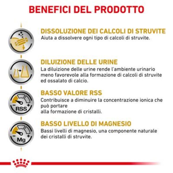 Bauzaar Royal Canin Urinary S/O Offerta esclusiva