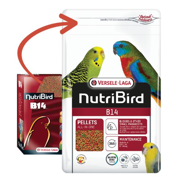 Bauzaar Versele Laga Nutribird B14 Parrocchetti Acquista Ora