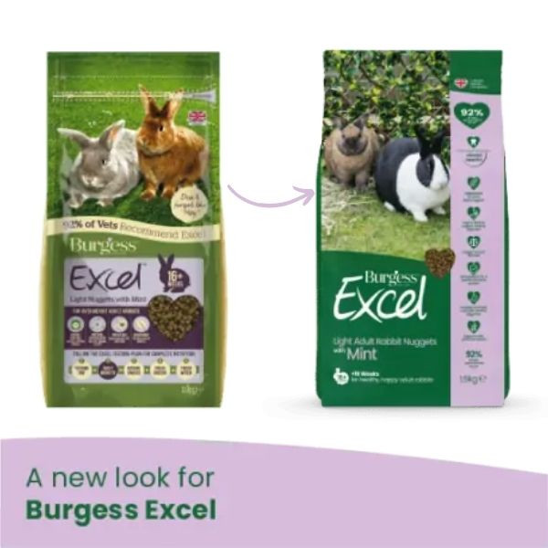 Bauzaar Burgess Excel Coniglio Light Negozio
