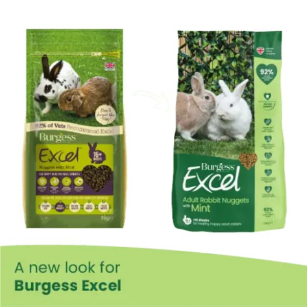 Bauzaar Burgess Excel Coniglio Adult Menta In Saldo