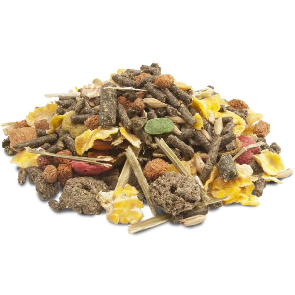 Bauzaar Versele Laga Crispy Muesli Guinea Pigs per porcellini d'india 2025