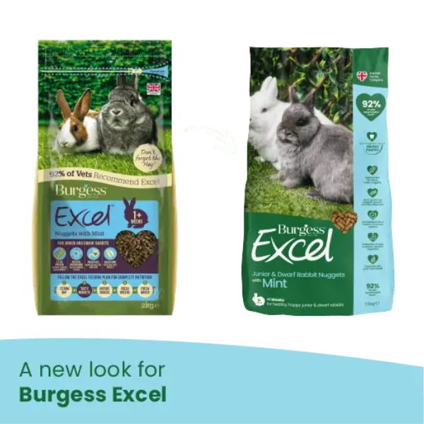 Bauzaar Burgess Excel Coniglio Junior Nuovo
