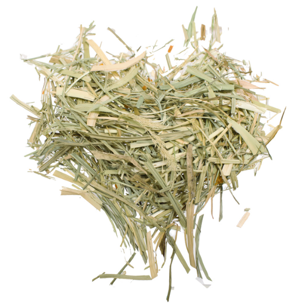 Bauzaar Fieno naturale Fienoro per conigli Croci Rabbit Promozione