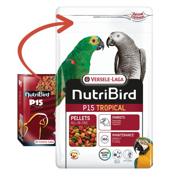 Bauzaar Versele Laga Nutribird P15 Tropical Mantenimento Negozi Online