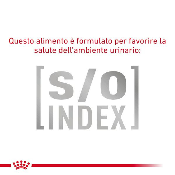 Bauzaar Royal Canin Gastrointestinal secco Feline Consegna Veloce
