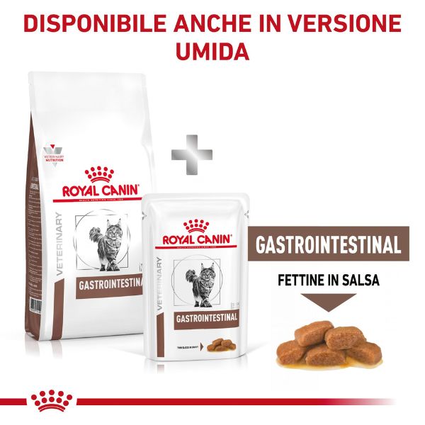Bauzaar Royal Canin Gastrointestinal secco Feline Consegna Veloce