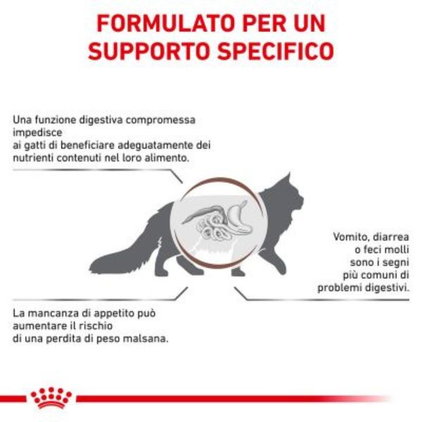Bauzaar Royal Canin Gastrointestinal secco Feline Consegna Veloce