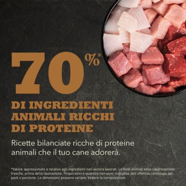 Bauzaar Acana Ranchlands Grain Free Offerta migliore
