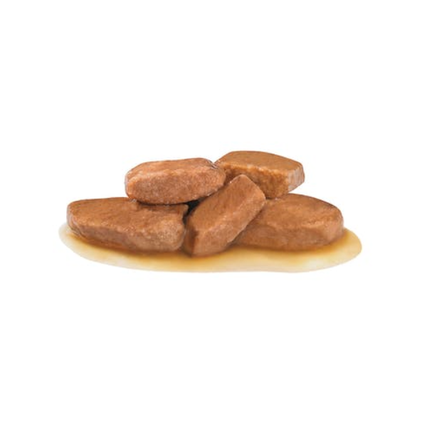 Bauzaar Royal Canin Urinary S/O in Salsa Offerta temporanea