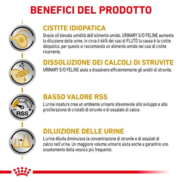 Bauzaar Royal Canin Urinary S/O in Salsa Offerta temporanea