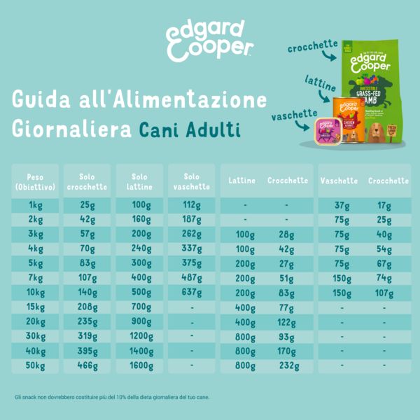 Bauzaar confezione da 11 Nuovi prodotti
