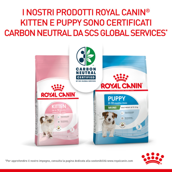 Bauzaar Royal Canin Kitten 36 Offerte giornaliere
