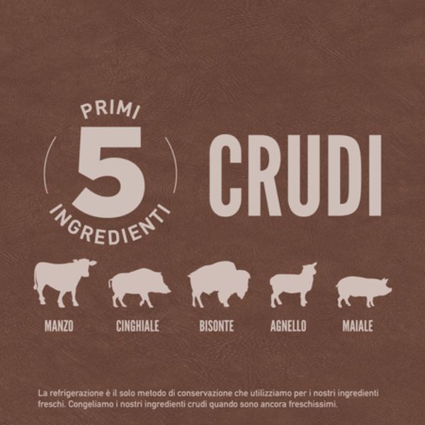 Bauzaar Orijen Regional Red Dog Food Offerta
