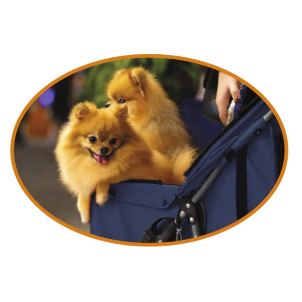 Bauzaar Passeggino per cani Croci Spedizione gratuita