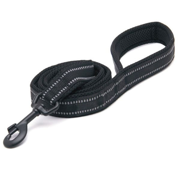 Bauzaar Guinzaglio in nylon Easy Sport PetUp Rilascio limitato