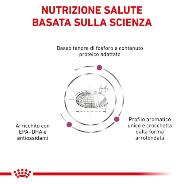 Bauzaar Royal Canin Cat Renal Ultimi tre giorni