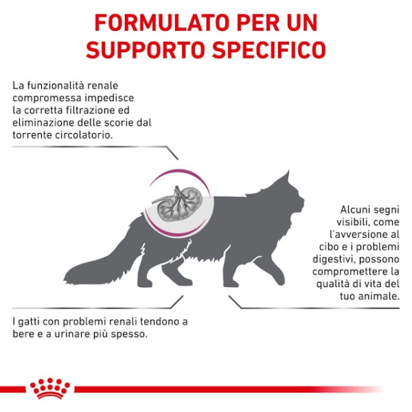 Bauzaar Royal Canin Cat Renal Ultimi tre giorni