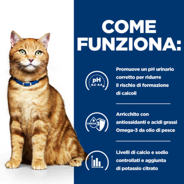 Bauzaar Hill's Prescription Diet c/d Multicare Feline con Pollo Sostegno trimestrale