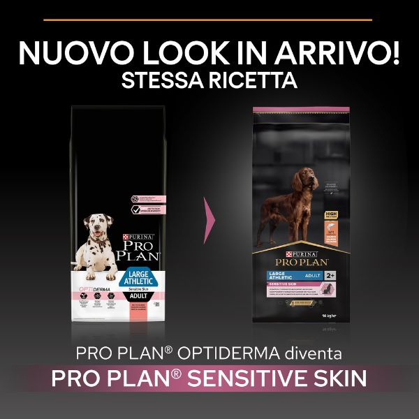 Bauzaar Purina Pro Plan Sensitive Skin Large Athletic Adult Crocchette Cane Salmone 50% di sconto con spedizione gratuita