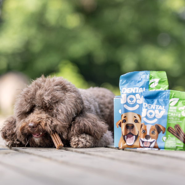 Bauzaar DentalJoy Dog Adult Medium/Large Snack Dentali Vegetale Officina