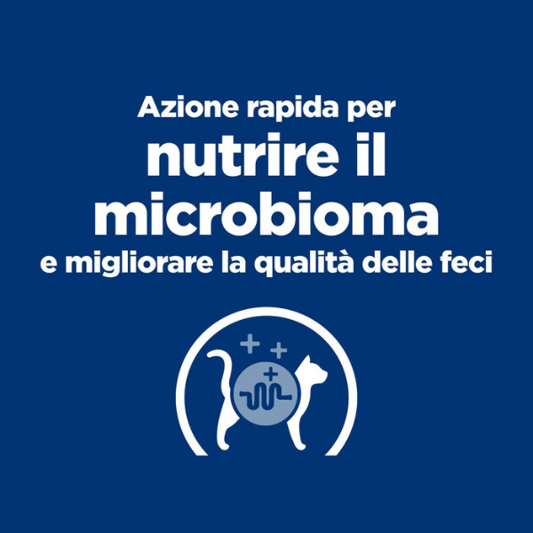 Bauzaar confezione da 6 Duty-free