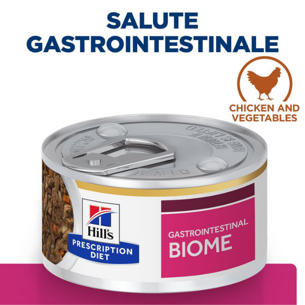Bauzaar confezione da 6 Duty-free