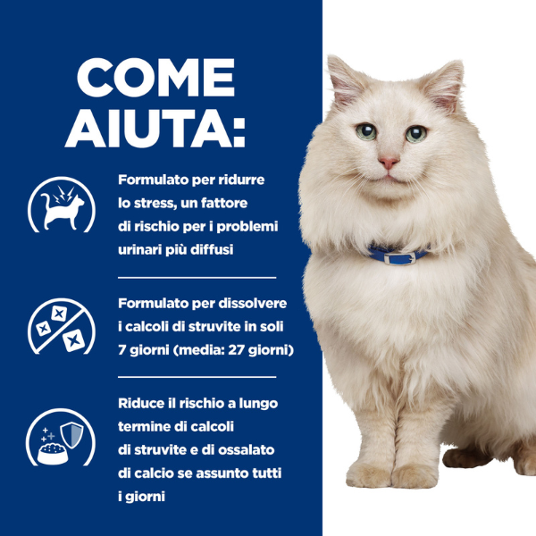 Bauzaar confezione da 12 50% di sconto per tempo limitato