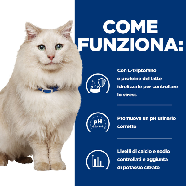Bauzaar confezione da 12 50% di sconto per tempo limitato
