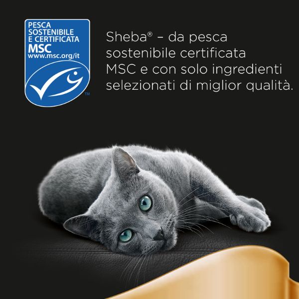 Bauzaar Sheba Délicatesses in salsa Extra Pack 40x85 gr Saldi