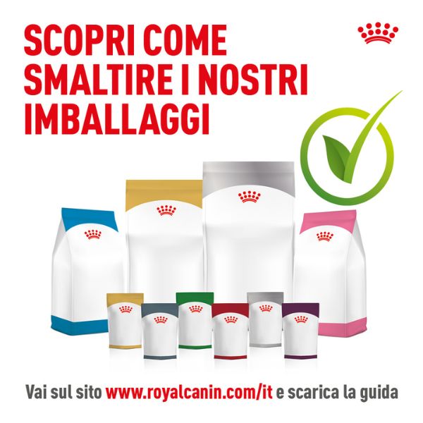 Bauzaar confezione da 12 Offerte