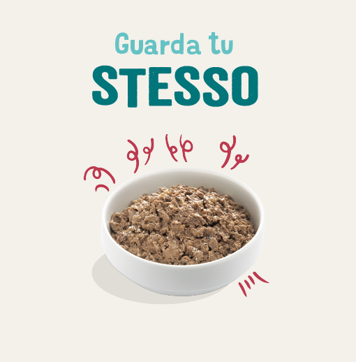 Bauzaar confezione da 17 Cyber Monday