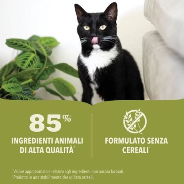 Bauzaar confezione da 6 Offerta San Valentino